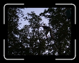 equinox76 (59) * 1632 x 1224 * (1.36MB)